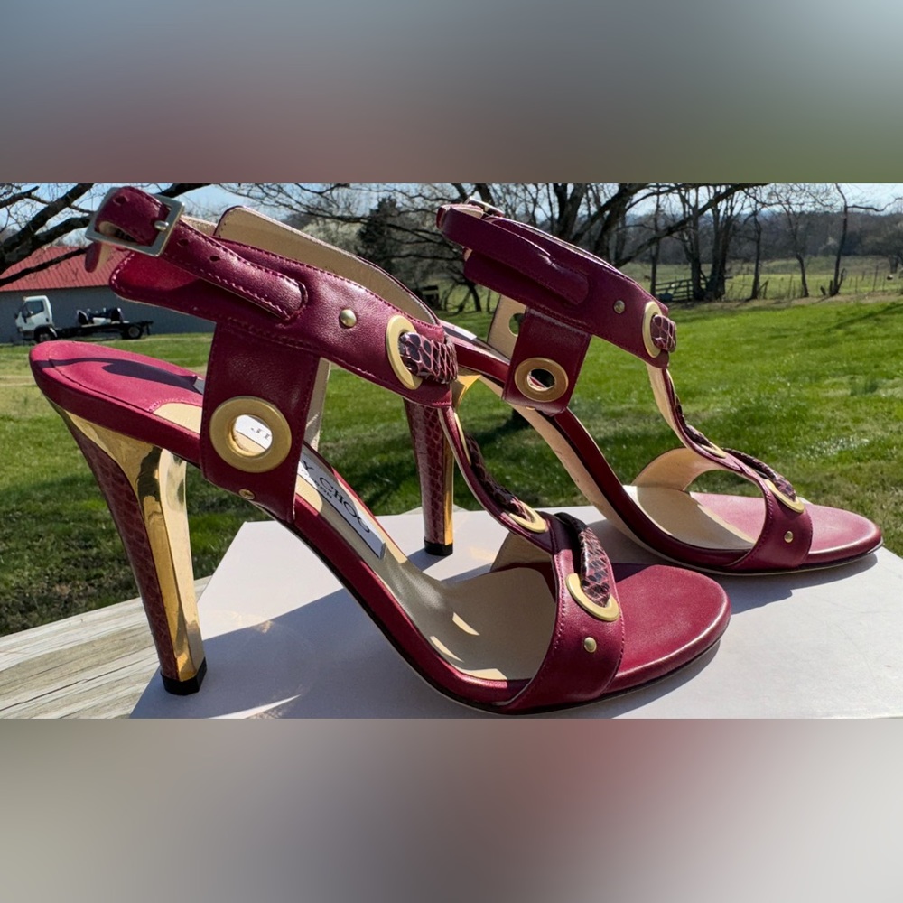 🐍JIMMY CHOO NAPPA/WATERSNAKE BURGUNDY HEELS🐍